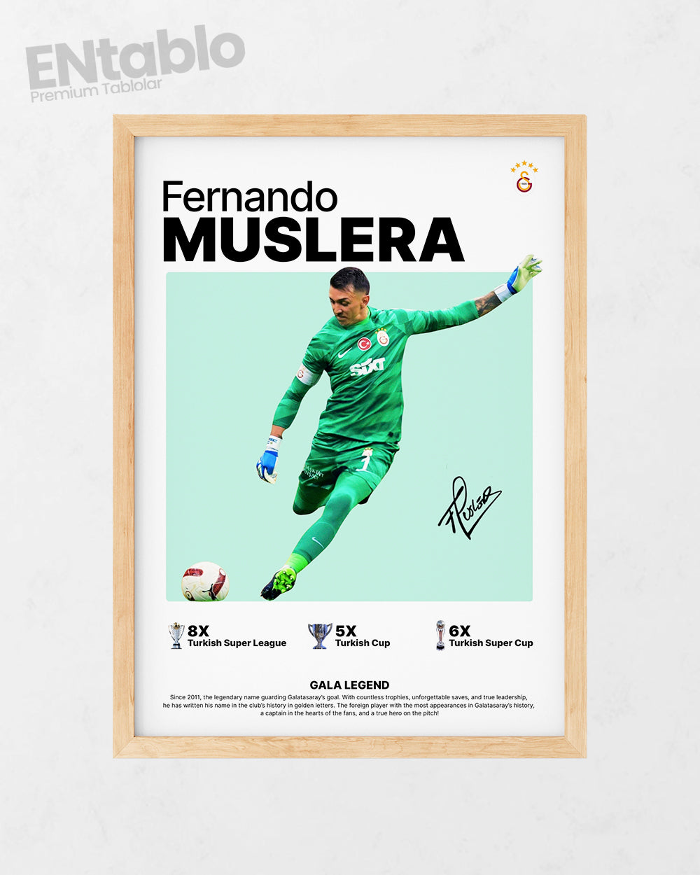 Fernando Muslera Tasarım Tablo