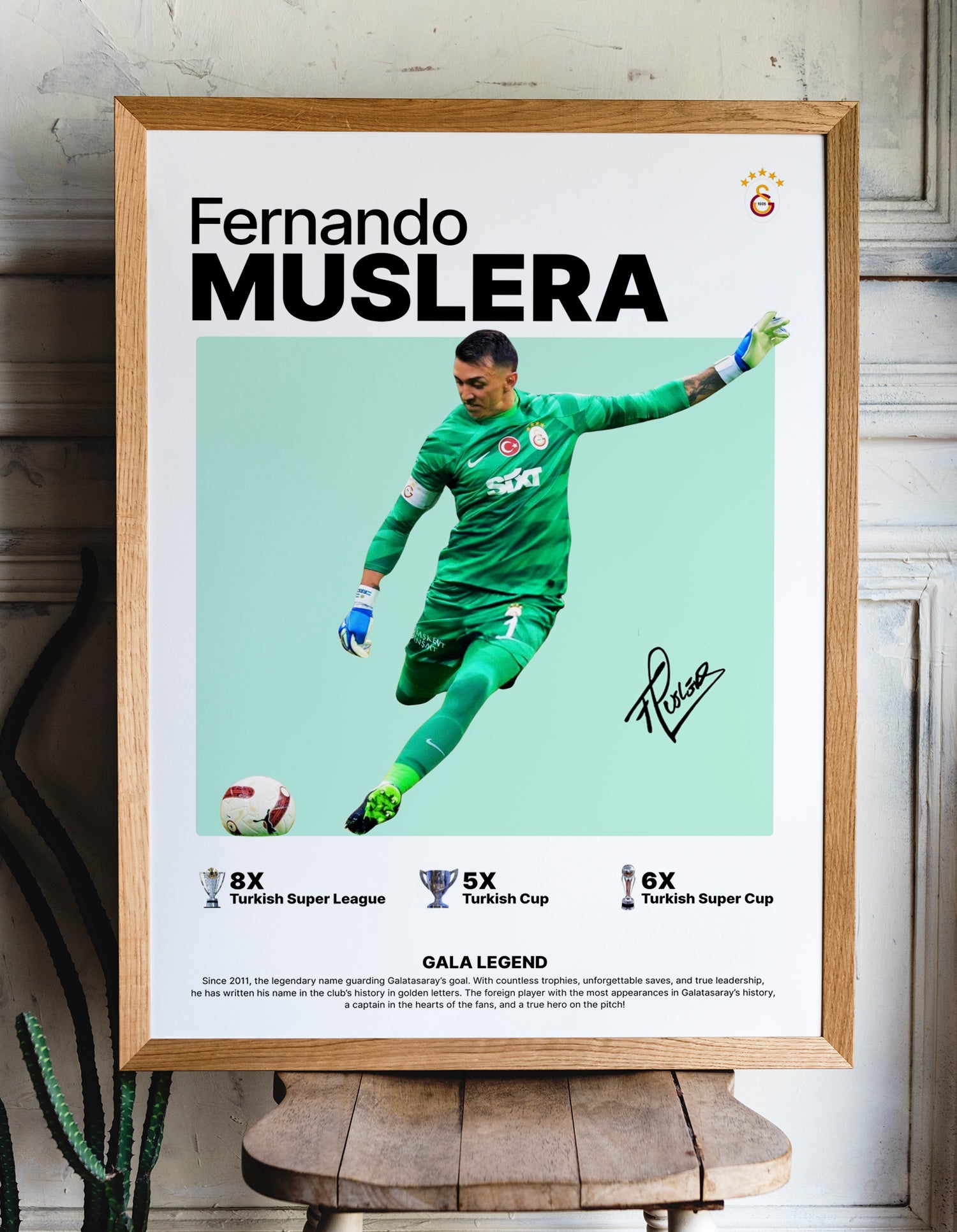 Fernando Muslera Tasarım Tablo