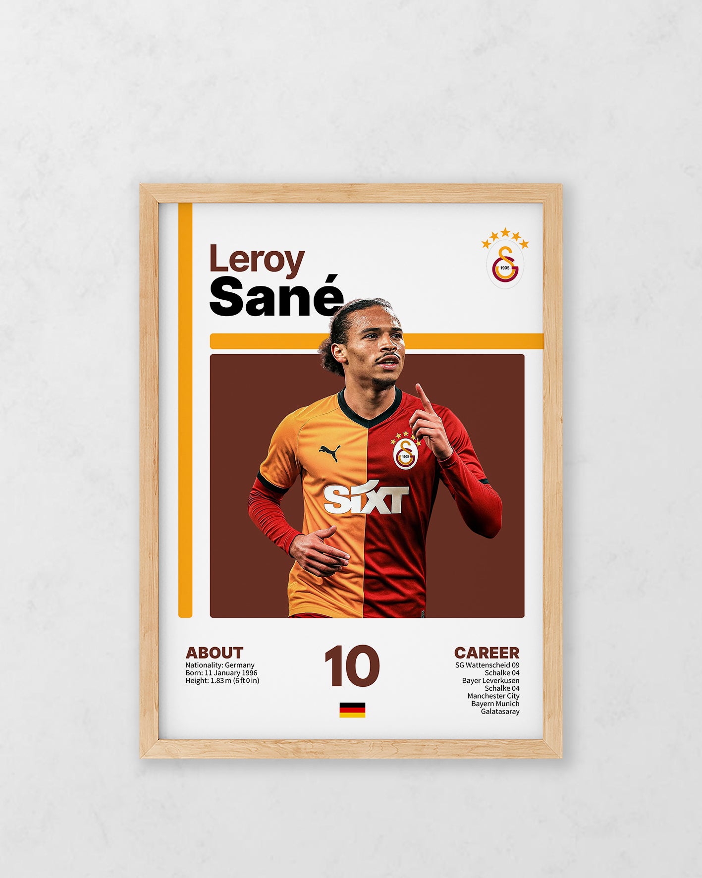 Info Series Leroy Sane #10